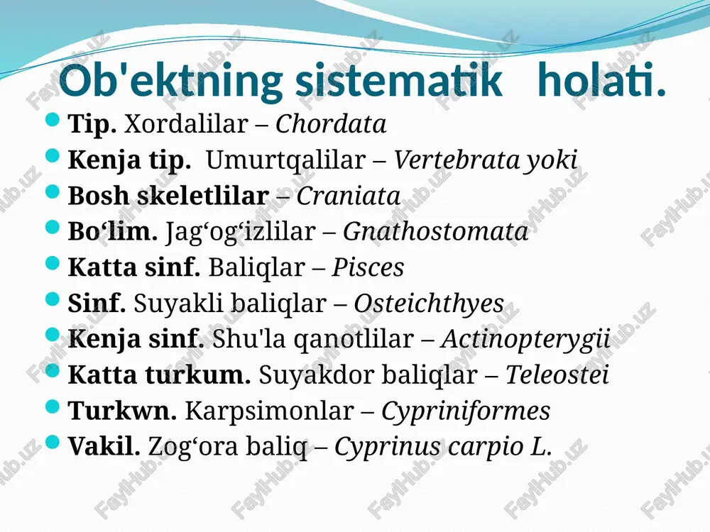 suyakli baliqlar sinfi - Page 4