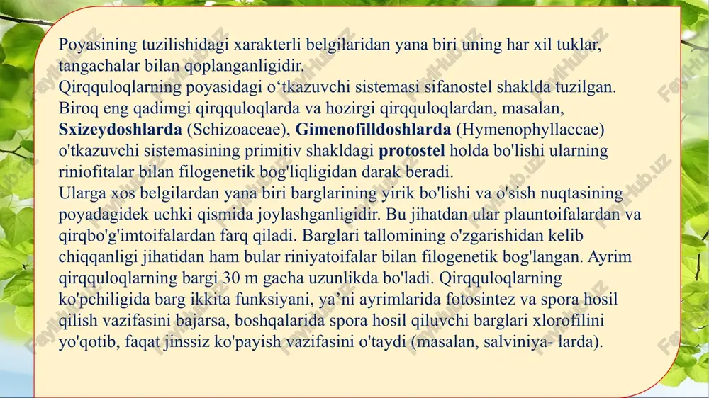 r — zigopteriopsida 5. ofioglossimonlar (llontilsimonlar) — ophioglossopsida 6. marattiyasimonlar — marattiopsida 7. polipodiumsimonlar — polypodiopsida yuqorida keltirilgan sinflardan 1-4- ajdodlarning vakillari to'liq yo'qolib ketgan. anevrofitsimonlar ajdodining vakillari eng qadimgi qirqquloqlar sanaladi. ular devon davrining o'rtalarida (400—375 mln. yillar oldin) o'sgan. tuzilishi jihatidan riniyatoifa o'simliklarga o'xshab ketadi. shuning uchun ular psilofitnamolar (psilophytales) qabilasidan kelib chiqqan deb ko'rsatiladi va riniyatoifa bilan qirqquloqtoifa o'simliklar o'rtasidagi oraliq forma hisoblanadi. arxeopterissimonlar sinfining vakillari ham qirilib ketgan. ular o'rta devonning oxiridan karbonning boshlarigacha (320—360 mln. yil oldin) tarqalgan. bu sinf vakillari tashqi ko'rinishi jihatidan hozirgi ignabargli daraxtlarga o'xshash bo'lgan. kladoksilonsimonlar sinfi vakillari ham anevrofitsimonlar va arxeopterissimonlar bilan deyarli bir davrda o'sgan. zigopterissimonlar ajdodiga mansub qirqquloqlarning vakillari devon davrining oxirlaridan boshlab permgacha yashagan. image1.png image2.jpg image3.png image4.jpg image5.jpg /docprops/thumbnail.jpeg