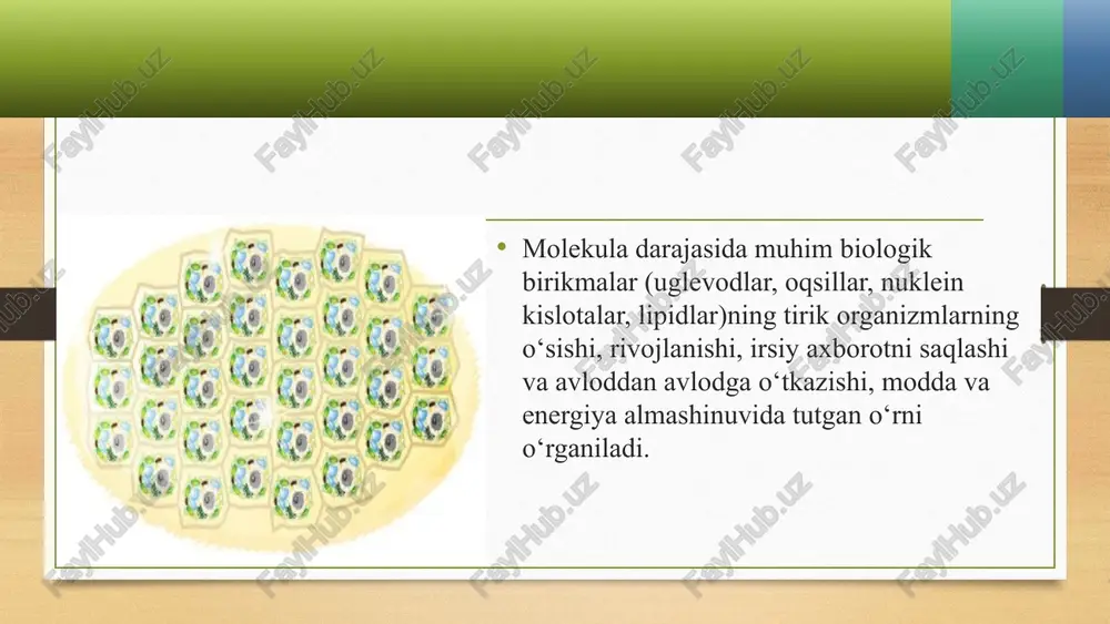 hayotning molekulyar asoslari - Page 4