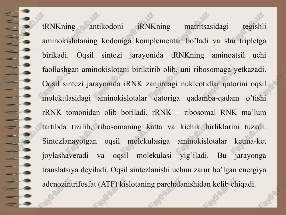 irsiyatning molekulyar asoslari. - Page 4