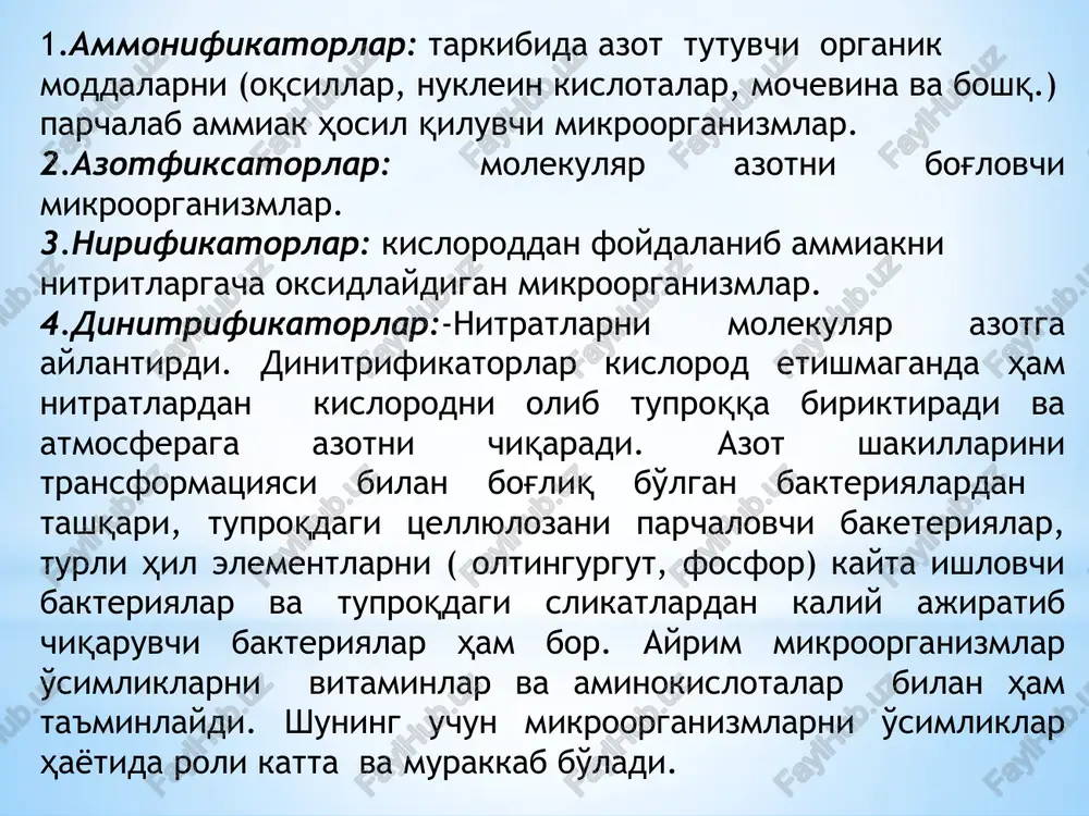 h+4) ni no-3 gacha biologik oksidlanishi ya'ni nitrifikatsiya ikki bosqichli jarayon bo'lib, bu jarayonni ikki gruxga ta'luqli bo'lgan maxsus xemosintetik avtotrof bakteriyalar nitrosomons va nitrobacter lar amalga oshiradi. nitrosomons bakteryalari ammiakni kislorod bilan nitrit kislotagacha qaytaradi, quyidagi formula: 2 nh3 + 3 o2→2hno2 + 2h2o keyin nitrobacter nirit kislotani nitrat kislotagacha oksidlaydi: 2hno2 + o2→2hno3 hno2 tuproqda to'planmaydi, bu ikki bakteriya birin ketin birgalikda o'z funktsiyasini bajaradi. shunday qilib tuproq takibida 4 xil azot bor, shulardan nh+4 va no-3 ionlarini o'simlik o'zlashtira olar ekan. azot, atmosfera, tuproq va o'simlik orasida aylanib yuruvchi juda beqaror element hisoblanar ekan. azotni fiksatsiya kiluvchi mikroorganizlar. biologik azotofiksatsiya qiluvchi mikrooranizmlarni ikkita asosiy gruxga bo'lish mumkin: a) erkin yashovchi azotofiksatorlar va b) yuqori o'simliklar bilan simbioz yashovchi mikroorganizmlar. birichi anaerob azotni fiksatsiya qilish xusiyatiga ega bo'lgan sporali erkin yashovchi bakteriyalarni 1893 yilda rus olimi s.n. vinogradskiy tamonidan ajiratib olinib, l.paster sharafiga clostridium pasteurianum deb nomlagan. keyinchalik …