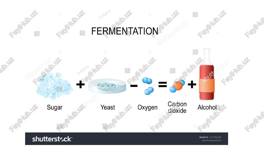 urli darajadagi bioavailability va toksiklikka ega. uch shaklga organik birikmalar, metall elementlar va noorganik tuzlar kiradi. yuqorida aytib o'tilganidek, ular okeanlar, daryolar va ko'llar kabi suv resurslarida mavjud. kadmiy atsdr reytingiga ko'ra, kadmiy zaharli og'ir metallar orasida 7-o'rinni egallaydi. kadmiyning qiziq tomoni shundaki, u odamlarga (ish joyida) yoki ularning muhitidagi hayvonlarga ta'sir qilgandan so'ng, u inson/hayvonning butun hayoti davomida tanada to'planib qoladi. birinchi jahon urushida kadmiy qalay va bo'yoq sanoatida pigment o'rniga ishlatilgan bo'lsa-da, hozirgi vaqtda u asosan qayta zaryadlanuvchi batareyalar, tamaki tutuni va ba'zi qotishmalar ishlab chiqarishda uchraydi. toksik moddalar va kasalliklarni ro'yxatga olish agentligining ta'kidlashicha, "aqshda har yili 500 000 dan ortiq ishchi zaharli kadmiyga duchor bo'ladi". shuningdek, kadmiyning eng yuqori taʼsiri xitoy va yaponiyada kuzatilishi mumkinligi taʼkidlangan. radiatsiya radiatsiya materiya tomonidan nurlar yoki toza energiya to'lqinlari yoki yuqori tezlikda zarrachalar shaklida chiqariladi. elektromagnit nurlanish deb ham ataladigan nurlar yoki energiya to'lqinlari quyosh nurlari, rentgen nurlari, radar va …