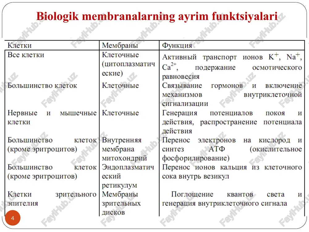 vodorod zanjirlari havoga qaragan. langmur usuli bo'yicha sirt bosimini o'lchash sxemasi * "bosim - maydon" diagrammasining umumiy ko'rinishi * hozirgi vaqtda monolayerlar sirt potentsiallarini, sirt viskozitesini va sirt radioaktivligini o'lchash uchun ishlatiladi. ushbu modelning afzalliklari olingan natijalarni olish va sharhlashning soddaligini o'z ichiga oladi, ammo mono qatlamlar o'z tuzilishida biologik membranalardan farq qiladi, shuningdek, membranalar orqali tashish jarayonlarini o'rganishga imkon bermaydi. * qattiq substratdagi monolayerlar. havo-suv interfeysida hosil bo'lgan monolayerlar qattiq tayanchga, masalan, alkillangan shisha slaydga o'tkazilishi mumkin. buni amalga oshirish uchun ushbu stakan bilan mono qatlamga teginish kifoya (alkillanish tufayli shisha yuzasi hidrofobik bo'ladi). lipidlarning qutb boshlari, mono qatlamni bunday oynaga o'tkazgandan so'ng, hali ham suv bilan aloqa qiladi. shunday qilib, n sirt bosimining turli qiymatlarida qattiq substratga o'tkaziladigan monoqatlamlarni o'rganish mumkin. qattiq substratdagi monolayerlar to'g'ridan-to'g'ri lipid monoqatlamlarini, bir qatlamning oqsillar va boshqa molekulalar bilan o'zaro ta'sirini o'rganish, antigen-antikor tizimlarini yaratish va membrana kanallarini o'rganish imkonini beradi. * * …