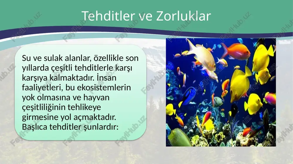 su ve sulak alan hayvan çeşitliliğinin korunması - Page 4