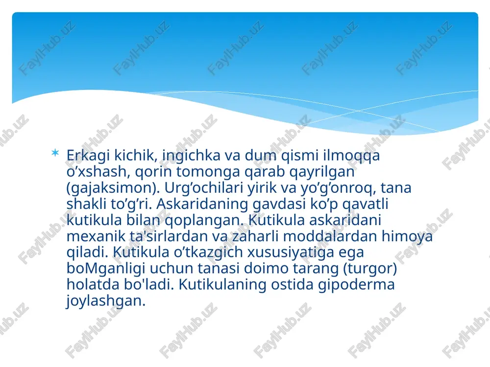lalariga borib qoladi. bu davrda ular alveolalar devorini yalligiantirib, zotiljam kasaliga o‘xshash yo:tal paydo qiladi, ba’zan o‘pkadan qon ketadi. yo‘talganda lichinkalar bronxlar va kekirdak orqali og‘iz bcvshligiga, u yerdan so‘lak bilan birga ichakka tushadi. ana shunday murakkab migratsiyadan so ng lichinkalar ichakka qaytib kelib, rivojlana boshlaydi. askarida bilan zararlanganda odamning qomi og‘rib, ishtahasi yo‘qoladi, kamqonlik paydo bo'ladi. askaridalar juda ko'p bo'lganida ichak bo'shlig‘ini bekitib qo‘yib, peritonit paydo qilishi, ba'zan oshqozon va halqum orqali bolalar og‘iz va burun bo‘shliig‘iga, hatto nafas yo‘liga o‘tib, bo‘g‘ib qo'yishi mumkin. e’tiboringiz uchun rahmat o’qiganlar uchun alohida rahmat image2.png image3.png /docprops/thumbnail.jpeg