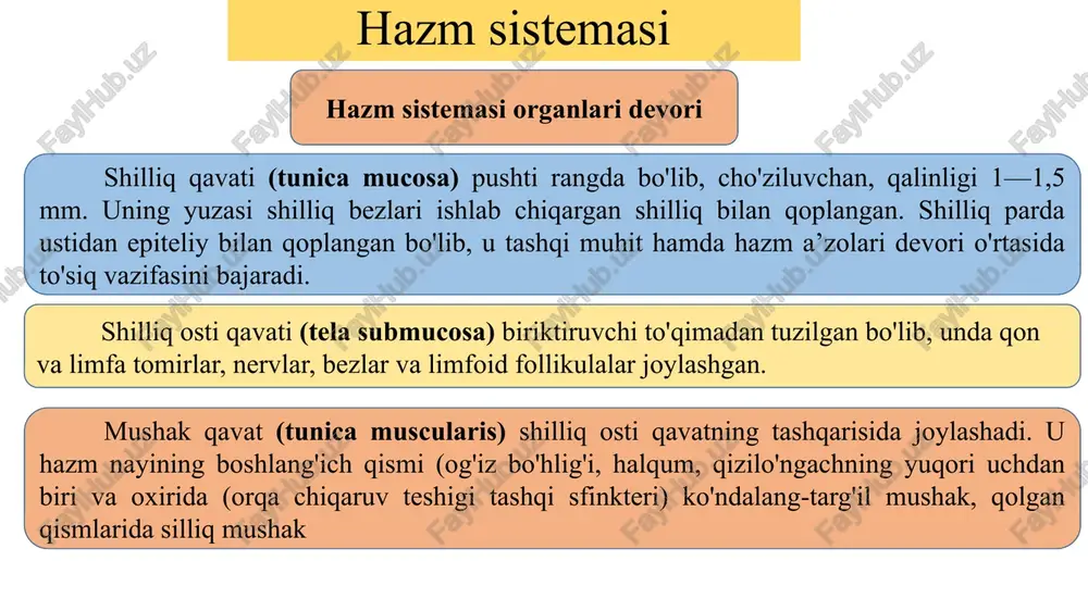 ichakdan yonbosh ichakka qarab kamayib boradi. hazm sistemasi yo’g’on ichak yo'g'on ichak qorin va chanoq bo'shlig'ida joylashib, uzunligi 1 — 1,5 m, kengligi 5—8 sm, oxirgi qismida 4 sm ga yaqin. yo'g'on ichak uch qism: ko'richak (chuvalchangsimon o'simta bilan), chambar ichak va to'g'ri ichakdan iborat. chambar ichak, o'z navbatida to'rt: ko'tariluvchi, ko'ndalang, tushuvchi va sigmasimon ichakka bo'linadi. yo'g'on ichak ingichka ichakdan joylashishi, shakli va tuzilishi bilan farq qiladi. e’tiboringiz uchun rahmat… image1.jpeg image2.tmp image3.tmp image4.tmp image5.tmp image6.tmp image7.tmp image8.tmp image9.tmp image10.tmp image11.tmp image12.tmp image13.tmp image14.tmp image15.tmp image16.tmp /docprops/thumbnail.jpeg