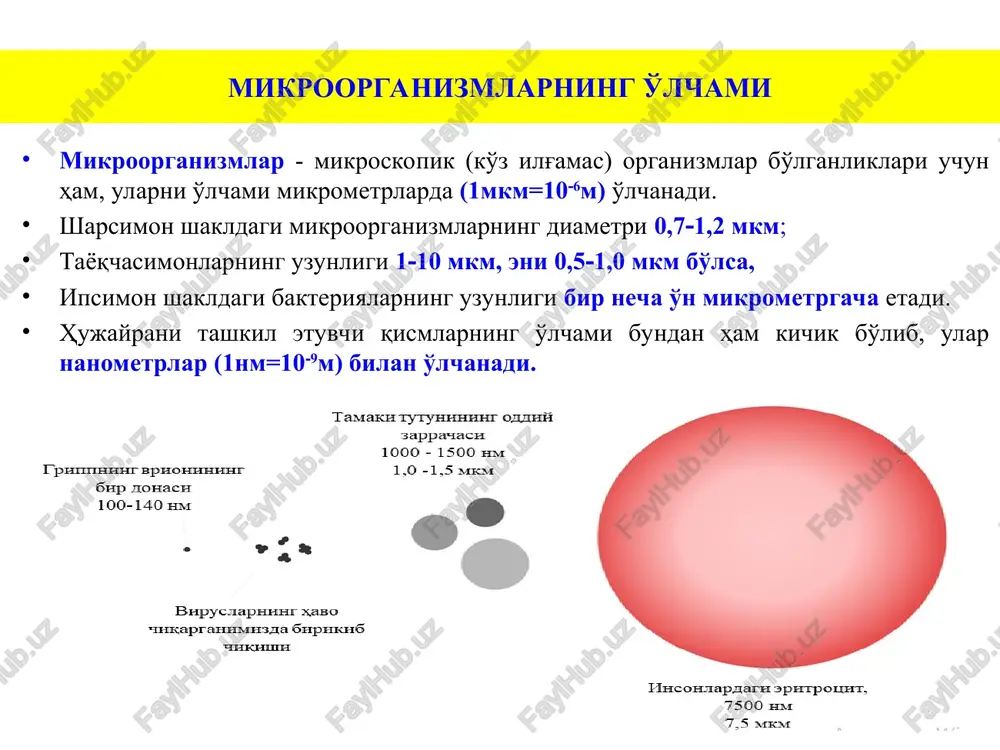 ahamiyatga molikdir. u qutirgan itlar so'lagini mikroskop ostida tadqiq qilganda undagi mikroorganizmlarni ko'rishga muyassar bo'la olmadi. ammo u kasallikni yuzaga keltiruvchi qutirishni «sababi» - hayvonning bosh va orqa miyasida joylashishini aniqladi. kasallangan quyon miyasini sekin - asta quritib, «kuchsizlantirilgan kasal qo'zgatuvchini» oldi va u bilan hayvonlarni emlab sog'lom hayvonlarni kasallikdan saqlab qolish yo'llarini topdi. bunday emlashlar, antirabik - qutirishga qarshi emlashlar deyilib, juda keng ko'lamda tarqaldi. bu ishlar yangi fan - immunologiyaning paydo bo'lishiga asos soldi. i.i.mechnikov (1845 - 1916) fagotsitoz va uning immunitetdagi ahamiyati haqida to'liq ta'limot yaratdi, chirituvchi va sut kislota hosil qiluvchi bakteriyalarning antagonizmini aniqladi va vabo kasalligini o'rganishga o'z hissasini qo'shdi. rossiyada birinchi bakteriologik stantsiya tashkil etdi. mikrobiologiyaning hozirgi davri molekulyar genetik davridir. fred griffits pnevmokokklarning kasallik qo'zg'atmaydigan turi hujayralarni ularning kasallik qo'zg'atadigan, lekin qaynatish yo'li bilan o'ldirilgan, ya'ni kasallik qo'zg'atish qobiliyatini yo'qotgan hujayralari bilan qo'shib kalamush tanasiga kirgizilsa, kasallik paydo bo'lishini kuzatdi. bu tajriba bakteriyaning …