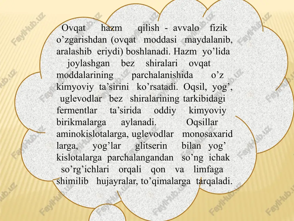 ezlar kabi bo‘lakchalardan tuzilgan. ularning naylari alohida yoki o‘zaro qo‘shilib, bitta nay hosil qiladi. quloq oldi bezi yuz terisi ostida, tashqi quloq pastida va orqa tomondagi pastki jag‘ suyagi chuqurchasigacha boradi. bez alohida-alohida bo‘lakchalardan iborat bo‘lib, ularning naychalari markaziy nayga qo‘shiladi. bezning og‘irligi 25–30 g, fibroz parda bilan o‘ralgan. bez naychasi chaynov muskulidan ko‘ndalang o‘tib, lunj muskuli orqali og‘iz bo‘shlig‘ining dahliziga, yuqori jag‘ning ikkinchi oziq tishlar sohasiga ochiladi. quloq oldi bezi oqsilga boy tiniq so‘lak ajratadi. pastki jag‘ osti bezi 15 g bo‘lib, pastki jag‘ suyagi osti chuqurligida joylashgan. bu bez yaxshi taraqqiy etgan parda bilan o‘ralgan. uning chiqaruv nayi – ductus submandibularis til ostidagi so‘rg‘ichlarga ochiladi. jag‘ osti bezi oqsil aralashgan shilliq suyuqlik ajratadi. ovqat moddalari dastlab og’iz bo’shlig’ida mexanik va ximik o’zgarishlarga duchor bo’ladi. ovqatning tami, sifati uning organizmi uchun zararsizligi og’iz bo’shlig’ida joylashgan sezuvchi nerv oxirlari (retseptorlar) orqali aniqlanadi. organizmga zararli sifatsiz ovqat darxol chiqarib tashlanadi i. …