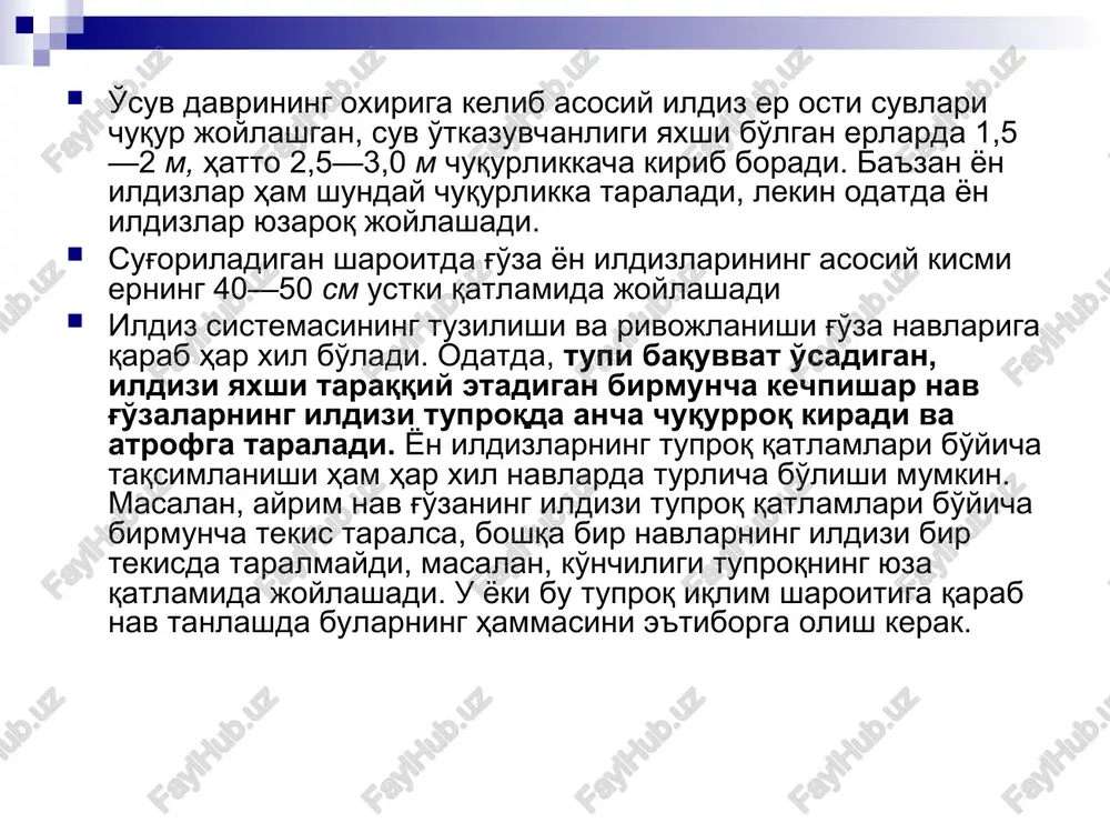 i. tadqiqotchilarning fikriga qaraganda, namlik ildizning rivojlanish xarakterini o'zgartiradigan asosiy faktordir. shuning uchun sug'oriladigan dehdonchilik sharoitida ekinlarni sug'orish yo'li bilan ildiz sistemasining rivojlanishini istagan tomonga o'zgartirishimiz mumkin. g'o'za ildiz sistemasi o'zining qurigan (nobud bo'lgan) qismini qayta tiklash (regeneratsiya) xususiyatiga ega. g'o'za ildiz sistemasi ekin qator oralarini ishlash vaktida ketmon yoki kultivatorda yon ildizlar kesilib ketganda qayta tiklana oladi. ildiz kesilgan yoki uzilganda zararlangan joyidagi to'qima bo'rtib bitadi va shu bo'rtmalar chetidan tutam shaklida bir qancha yangi ildizchalar chiqadi. ildiz sistemasining rivojlanishiga shuningdek, ko'chat qalinligi ham ta'sir etadi. masalan, ko'chatning nisbatan siyrak bo'lishi ildizdagi so'ruvchi tomirlarni tuproqning yuza qatlamida taralishiga olib keladi. aksincha, o'simlik birmuncha qalin joylashganda esa so'ruvchi tomirlar tuproqning ancha chuqur qatlamiga taraladi. buning sababi, ko'chat siyrak bo'lganda, tuproqning yuza qatlamidagi namlikdan o'simlik uzoq muddat foydalanadi, ko'chat qalin bo'lganda esa shu miqdordagi namlik oz vaqtga etadi, shuning uchun ildiz nam qidirib tuproqning pastki qavatiga tushadi va u erda ko'p …