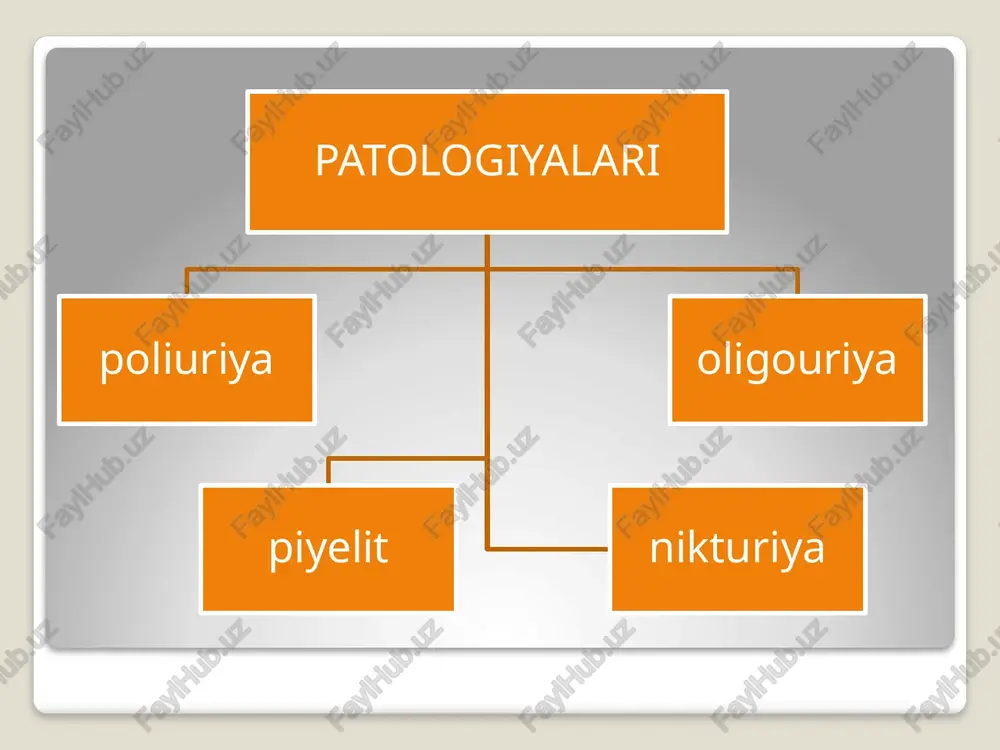 siydikbiokimyosi - Page 4