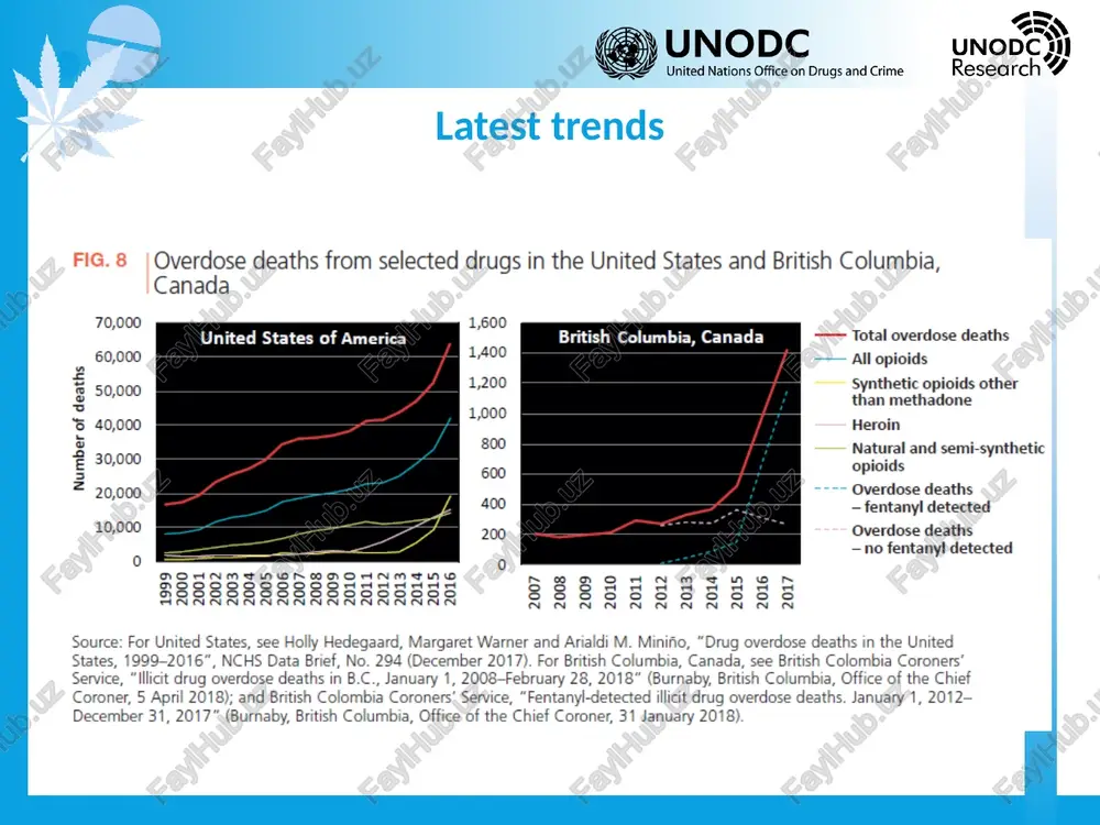world drug report 2018 - Page 4
