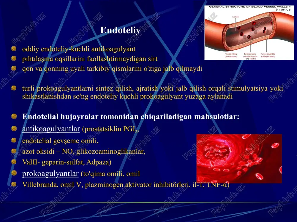/ l, trombin vaqti =12=16 soniya., faktor xiii. trombotsitopeniya trombotsitopeniya - trombotsitlar sonining 150 dan pastga tushishi bilan tavsiflangan gemorragik kasalliklar va sindromlar guruhi109/ l. alohida trombotsitopeniya darajasi: engil (100x10 dan ortiq9/ l), o'rtacha (50-100x109/ l), og'ir (50x10 dan kam9/ l) trombotsitlar darajasi 100 atrofida109/ l qon ketish xarakterli emas, ammo kichik jarohatlar bilan teri osti qon ketishining rivojlanishi mumkin; qon ketish davomiyligi oshadi. o'z-o'zidan qon ketish xavfi keskin oshadi trombotsitlar darajasi 50 dan kam bo'lsa109/ l, trombotsitlar soni 20 dan past bo'lsa109/ l hayot uchun xavfli gemorragik asoratlarni rivojlanishi mumkin. trombotsitopeniyaning asosiy sabablari trombotsitlar ishlab chiqarishning buzilishi trombotsitlarni yo'q qilish yoki iste'mol qilishning ko'payishi tizimli qon aylanishidan trombotsitlarni yo'qotish trombotsitlar ishlab chiqarish buzilishining sabablari megakaryotsitik izolyatsiya qilingan depressiya nihol (dorilar, kimyoviy moddalar ta'siri, virusli infektsiya) qisman yoki to'liq suyak iligi aplaziyasi (aplastik anemiya, sitostatikaga ta'sir qilish, radiatsiya terapiyasi) qon tizimining kasalliklari (o'tkir va surunkali leykemiya, miyelodisplastik sindromlar, ko'p miyeloma, …