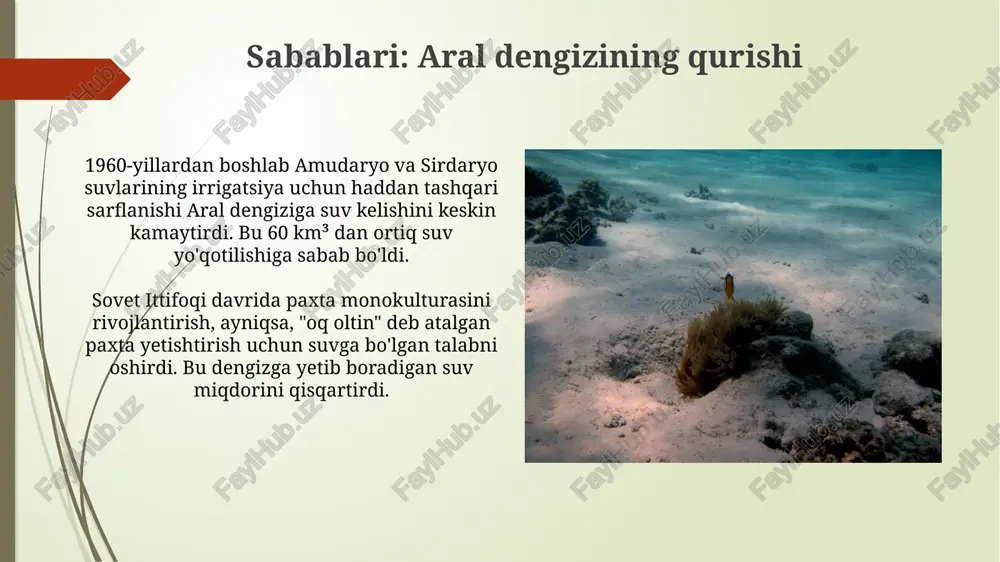 orol dengizining qurigan tubining hozirgi ahvoli - Page 4