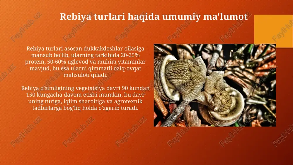 rebiyatsiya turlarning tasnifi - Page 4