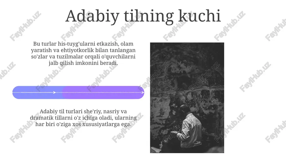 adabiy til: umumiy ma'lumot - Page 4
