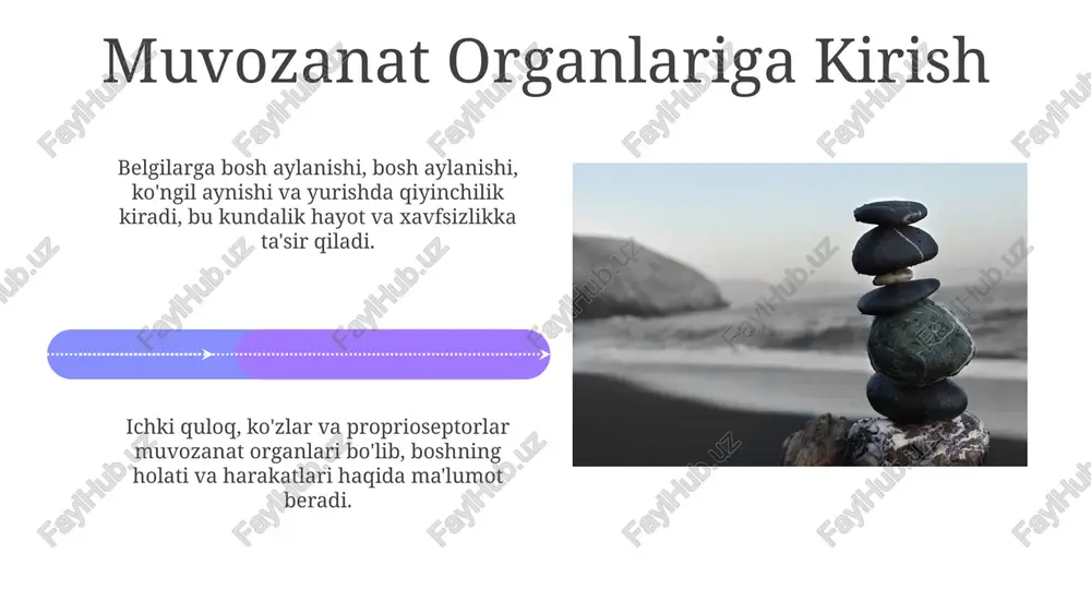 muvozanatning anatomiyasi va fiziologiyasi - Page 4