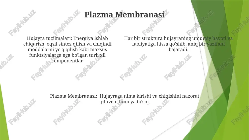 hujayra strukturalari va ularning funksiyasi - Page 4