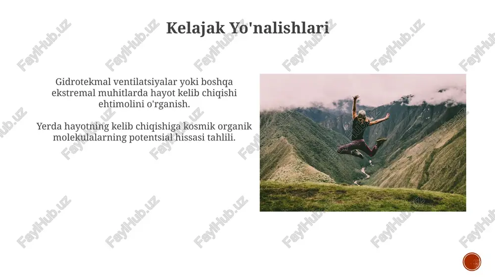 o'zini o'zi tashkil etish va murakkablik - Page 4