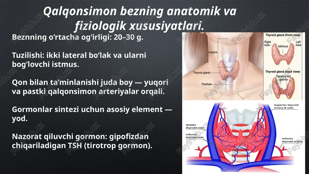 n paraqalqonsimon bezlar operatsiya jarayonida olib tashlanganda, yoinki ular gematoma yoki shish bilan ezilganda, paraqalqonsimon bezlar etishmovchiligi tarzida yuzaga keladi. bemor qo’l mushaklarida tetanik talvasa rivojlanadi, yurak mushaklari ishi keskin buziladi, yuz niqobsimon qiyofaga kirib, zo’rma-zo’raki jilmayish paydo bo’ladi, bemor og’zi “baliq og’zi”ga o’xshab qoladi. talvasalar oyoqlarga tarqaladi, tonik xarakterga kiradi, og’riydi. paresteziya yuz beradi, oyoq-qo’llar muzlashi, tovushning bo’g’ilishi, “doya qo’li” belgisining kelib chiqishi kuzatiladi. og’ir hollarda o’lim sodir bo’ladi. paratireoid tetaniyani davolash masalalarida to’xtalganda, organizmni qonda etishmayotgan kaltsiy preparatlari bilan etarli darajada to’yintirishning muhimligini qayd etish lozim. operatsiyadan keyingi asoratlar. 10 operatsiyadan keyingi kechki asooratlar: operatsiyadan keyin yuz beradigan gipotireoz qalqonsimon bez faoliyatining yetishmovchiligidan, ya’ni qalqonsimon bez butunlay olib tashlanganda rivojlanadi. bu asorat, umumiy behollik, uyquchanlik, doimiy charchoq sezish, loqaydlik, bemorlar harakatining sustlashishi tarzida namoyon bo’ladi. bemor tanasining terisi quruq, ajin bosgan, biroz shishgan bo’ladi. uning sochlari to’kila boshlaydi, oyoq-qo’llarida og’riq paydo bo’ladi, jinsiy faoliyati sustlashadi. bunda bemor terisi …