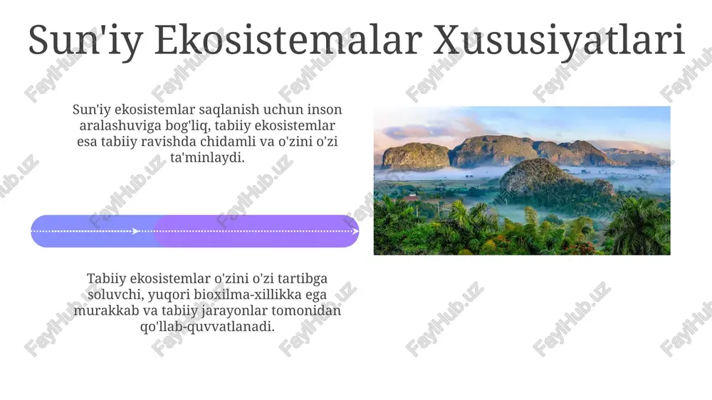 tabiiy va sun'iy (antropgen) ekosistemalar - Page 4