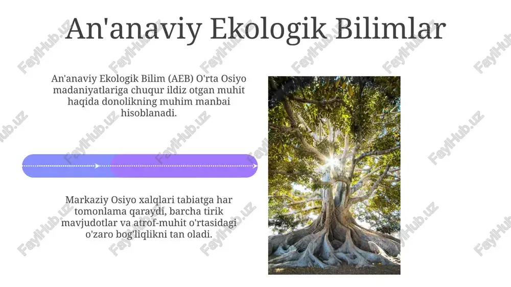 an'anaviy ekologik bilim - Page 4