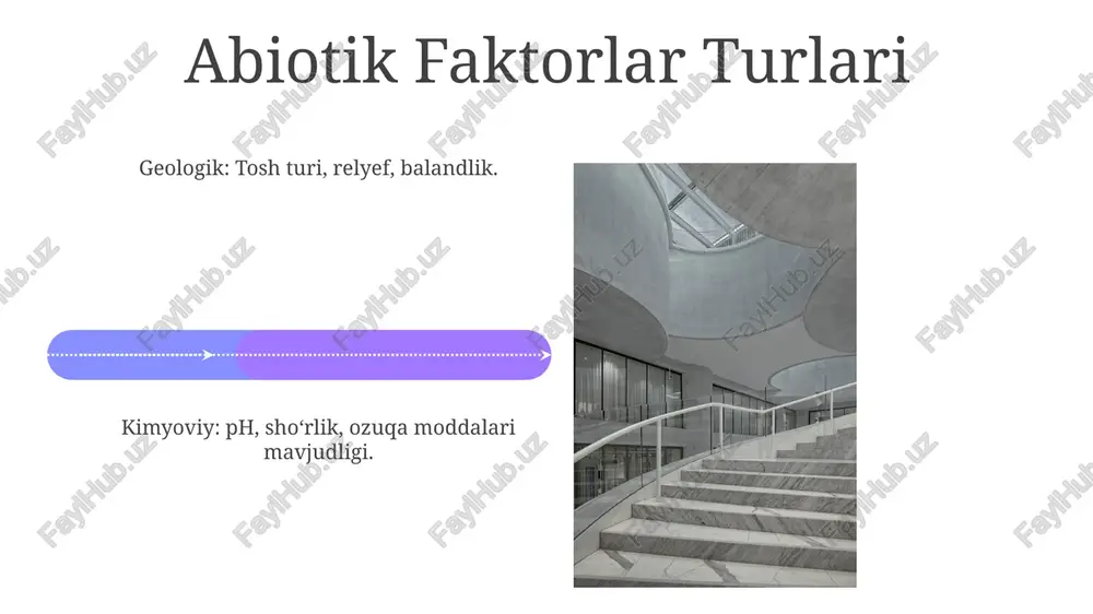 abiotik omillarni ekosistemlarga ta'siri - Page 4