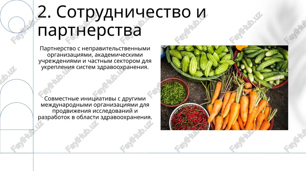 vsemirnaya organizatsiya zdravooxraneniya - Page 4