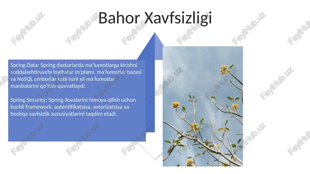bahor mvc - Page 4