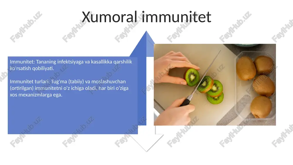 immunitet - Page 4