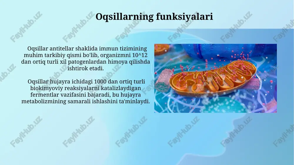 oqsillarning koʻp shakliligi, ahamiyati - Page 4