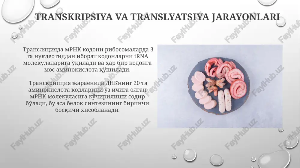 ha yuk tushishiga, 20-30% hollarda esa buyrak toshlari va siydik kislotasi darajasining oshishiga olib kelishi mumkin. oshqozon ostida oqsil parchalash oshqozonda oqsil parchalanishi pepsin fermenti orqali amalga oshiriladi, bu ferment ph 1.5-2.5 oralig'ida optimal faollik ko'rsatadi va oqsillarni kichikroq polipeptidlarga parchalaydi. oshqozon shirasi tarkibida 0.5% gacha hcl mavjud bo'lib, u oqsillarni denaturatsiya qiladi, ya'ni ularning uch o'lchovli tuzilishini buzadi va pepsinning ta'sirini osonlashtiradi. e'tiboringiz uchun rahmat @taqdimot_robot image3.png image4.jpg image5.jpg image6.jpg image7.jpg image8.jpg image9.jpg image10.jpg image11.jpg image12.jpg image13.jpg image14.jpg image15.jpg image16.jpg image17.jpg image18.jpg image19.jpg image20.jpg image1.png