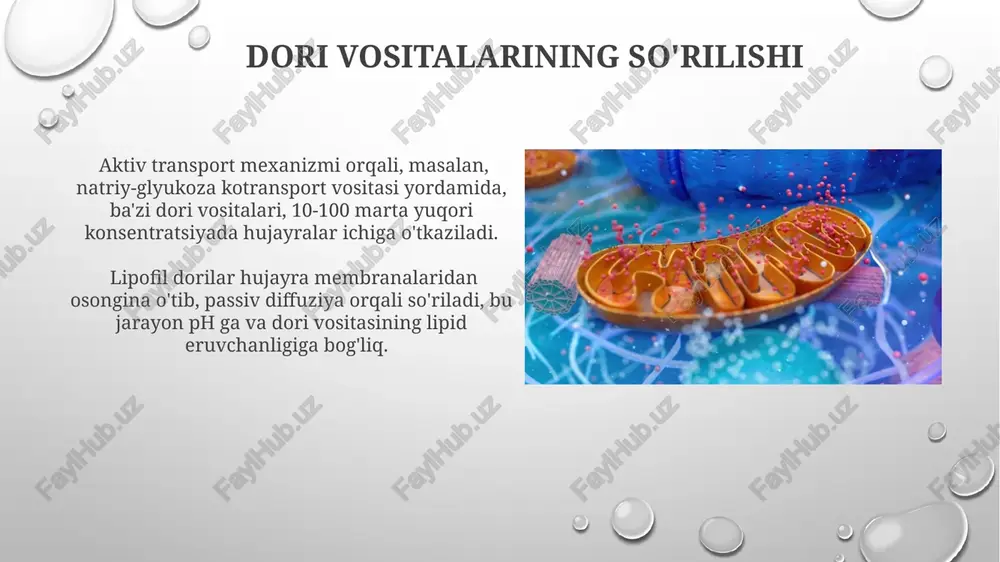 oshqozon ichak traktida sõrilishning biofizikaviy mexanizmi - Page 4