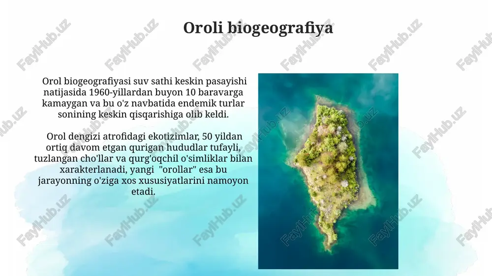 orol va orolbo'yi ekologiyasi - Page 4