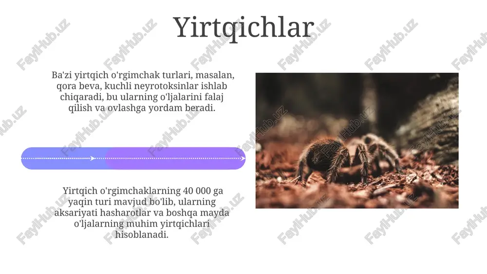 qolganlari esa 1 sm dan oshmaydi, bu esa ularning oziq-ovqat manbalariga va yashash muhitlariga moslashishini ko'rsatadi. ularning koloniyalarida taxminan 1000 dan 10000 gacha individ mavjud bo'lib, bu son oziq-ovqat zahiralari va tashqi omillarga bog'liq ravishda o'zgarib turadi. e'tiboringiz uchun rahmat @taqdimot_robot image4.jpg image5.jpg image6.jpg image7.jpg image8.jpg image9.jpg image10.jpg image11.jpg image12.jpg image13.jpg image14.jpg image15.jpg image16.jpg image17.jpg image18.jpg image19.jpg image20.jpg image1.jpeg image2.jpeg image3.jpeg