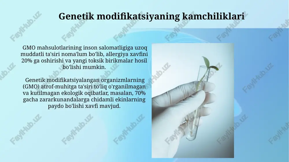 ini ko'rsatadi. genlarni kiritish usullari mikroin'ektsiya usulida, o'rtacha diametri 1 mikrometrli ignalar yordamida, genlar hujayra yadrosining ichiga to'g'ridan-to'g'ri in'ektsiya qilinadi, bu jarayon nisbatan kam samarali bo'lsa-da, aniq va nazorat qilinadigan hisoblanadi. genlarni o'simlik hujayralariga agrobacterium bakteriyalari yordamida kiritish usuli 90% dan ortiq samaradorlikka ega bo'lib, t-dna segmentining hujayra genomiga integratsiyasi orqali amalga oshiriladi. o'simliklarning genetik modifikatsiyasi natijalari o'simliklarning genetik modifikatsiyasi natijasida hosildorlik 20-30% ga oshishi va suvga bo'lgan talab 15% ga kamayishi kuzatilgan. genetik modifikatsiya qilingan ekinlarning ozuqaviy qiymati, masalan, a vitamini miqdori 2 baravarga oshirilishi mumkin. genetika muhandisligi usullari hayvonlarning genetik materialini o'zgartirishda, masalan, ko'plab genlarni bir vaqtning o'zida tahrirlashga imkon beruvchi zfn (zinc finger nuclease) kabi 10 dan ortiq nukleazalar qo'llaniladi. agrobacterium tumefaciens bakteriyalaridan foydalaniladigan transgenik o'simliklarni yaratish usuli 80 yildan ortiq vaqt davomida ishlatilib kelinmoqda va millionlab gektar yerlarda o'stirilayotgan genetik jihatdan o'zgartirilgan o'simliklarni yaratishga imkon beradi. e'tiboringiz uchun rahmat @taqdimot_robot image2.jpg image3.jpg image4.jpg image5.jpg image6.jpg image7.jpg …
