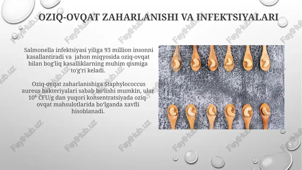 ziqorin va mog'orlarning rivojlanishiga olib kelishi mumkin, bu esa mahsulotning sifatini pasaytiradi. ish joyining gigienasi ish joyining gigienasi, sanitariya me'yorlariga muvofiq, har 2 soatda dezinfeksiya qilishni va 5 dan ortiq xodimlar uchun 2 ta alohida hojatxonani ta'minlashni o'z ichiga oladi. oziq-ovqat bilan aloqada bo'lgan barcha sirtlarni har kuni kamida 2 marta, yuqori xavf zonasida esa 4 marta yuvib tozalash, bakteriyalar tarqalishini 75% gacha kamaytiradi. e'tiboringiz uchun rahmat @taqdimot_robot image3.png image4.jpg image5.jpg image6.jpg image7.jpg image8.jpg image9.jpg image10.jpg image11.jpg image12.jpg image13.jpg image14.jpg image15.jpg image16.jpg image17.jpg image18.jpg image1.png