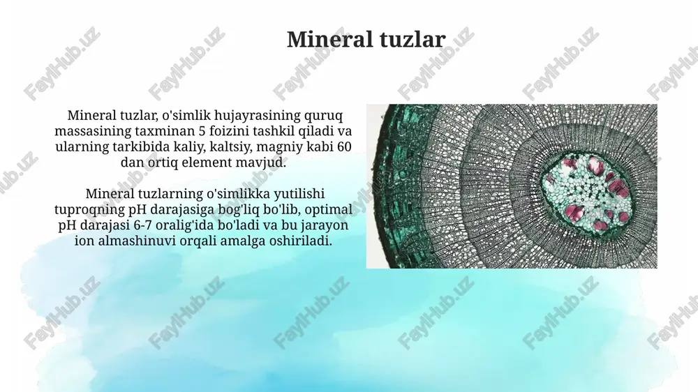 o'simlik hujayrasining kimyoviy tarkibi - Page 4