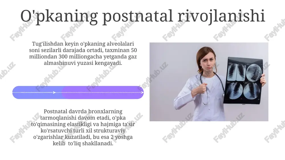 oʻpkaning morfologik rivojlanishi va strukturaviy buzilishlar - Page 4