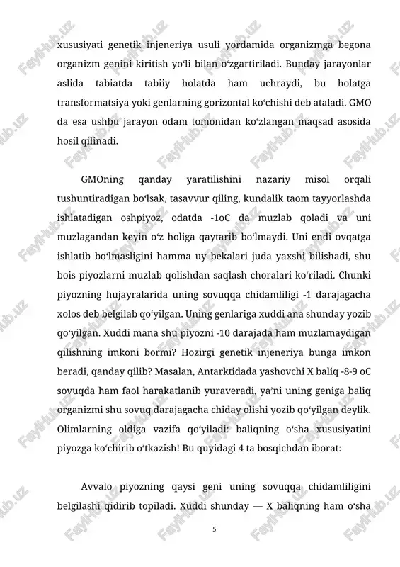 omlanuvchi genetik strukturalardan foydalaniladi. kerakli genni odamning o‘zi piyoz hujayrasidagi genga shundoqqina ko‘chib o‘tkazib qo‘ya olmaydi. maxsus plazmidga kerakli gen biriktiriladi, plazmid esa uni bakteriya yoki virus yordamida hujayra ichiga olib kiradi. piyozning bitta hujayrasidagi sovuqqa chidamlilik geni maxsus usulda olib tashlanadi. endi avvaldan yaratilgan vektor konstruksiya baliq genini piyoz hujayrasiga kiritadi va belgilangan joyga ulab qo‘yadi. natijada piyozning ilgari -1 darajaga chidaydigan geni o‘rniga baliqning -8-9 darajaga chidaydigan geni oladi. baliqning boshqa hech qanday xususiyati o‘tmaydi, hech qanday! faqatgina sovuqqa chidamlilik genigina ko‘chib o‘tadi xolos. shunday usulda hosil qilingan hujayra transgen hujayra deyiladi. mana endi o‘sha transgen hujayradan maxsus ozuqa muhitida biz bilgan butun piyoz o‘simligi hosil qilinadi. uning ko‘rinishi, hidi, mazasi va boshqa hamma xususiyatlari avvalgi piyozning o‘zi, chunki boshqa genlariga tegilmagan. lekin endi bu piyozimiz tabiiy sharoitda -8-9 darajali sovuqda qolib ketsa ham muzlab qolmaydi. mana shunday yaratilgan piyozga biz transgen piyoz yoki geni modifikatsiyalangan organizm (gmo) …