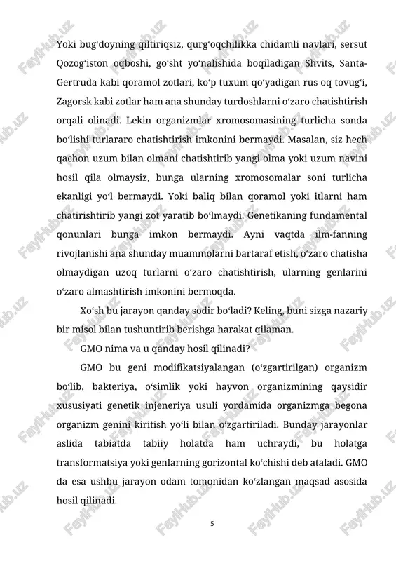 tilishi uchun maxsus vektor konstruksiya deb nomlanuvchi jarayon tashkillashtiriladi. bunda genni tashish uchun turli plazmidlar deb nomlanuvchi genetik strukturalardan foydalaniladi. kerakli genni odamning o‘zi piyoz hujayrasidagi genga shundoqqina ko‘chib o‘tkazib qo‘ya olmaydi. maxsus plazmidga kerakli gen biriktiriladi, plazmid esa uni bakteriya yoki virus yordamida hujayra ichiga olib kiradi. piyozning bitta hujayrasidagi sovuqqa chidamlilik geni maxsus usulda olib tashlanadi. endi avvaldan yaratilgan vektor konstruksiya baliq genini piyoz hujayrasiga kiritadi va belgilangan joyga ulab qo‘yadi. natijada piyozning ilgari -1 darajaga chidaydigan geni o‘rniga baliqning -8-9 darajaga chidaydigan geni oladi. baliqning boshqa hech qanday xususiyati o‘tmaydi, hech qanday! faqatgina sovuqqa chidamlilik genigina ko‘chib o‘tadi xolos. shunday usulda hosil qilingan hujayra transgen hujayra deyiladi. mana endi o‘sha transgen hujayradan maxsus ozuqa muhitida biz bilgan butun piyoz o‘simligi hosil qilinadi. uning ko‘rinishi, hidi, mazasi va boshqa hamma xususiyatlari avvalgi piyozning o‘zi, chunki boshqa genlariga tegilmagan. lekin endi bu piyozimiz tabiiy sharoitda -8-9 darajali sovuqda qolib …