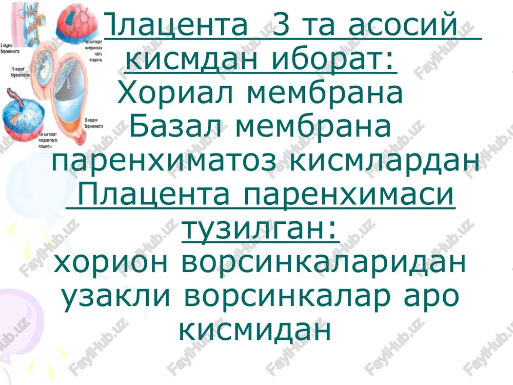 ashga karatilgan davo utkazishga asoslangan. bachadon tubi balandligini ulchash gestatsiya (xaftasi) balandligi (sm) bachadon tubi balandligini ulchash gestatsiya (xaftasi) balandligi (sm) davolash printsiplari: bachadon platsentar tizim tomirlarni kengaytirish bachadon mushaklarini bushashtirish (tokoliz) miometriy va platsentada metabolizmni yaxshilash emotsional tinchlik. v-mimetiklar (tokolitiklar) spazmolitiklar va tomir kengaytiruvchi preparatlar – eufillin, baralgin, maksigan, komplamin kurantil (kon tomirlarni kengaytiruvchi) geparin 5 tis. ed v/m kislorod na b/carbonat antigipoksantlar vitaminlar va aminokislotalar. poliklinika sharoitida davolash sxemasi: xomiladorlikni asosiy patologiyasini davolash. oksigenoterapiya. energetik almashinuvga ta'sir kiluvchi preparatlar. glutamin kislota 0,1 g *3 maxal kuniga yoki metionin 0,5 g * 3 maxal kuniga. galaskorbin 0,5 g* 3 maxal kuniga. temir preparatlari. kokarboksilaza 10 mg t\i. vazoaktiv preparatlar: trental, kurantil, eufilin t/i 4-6 xafta mobaynida. reopoliglyukin 400-500 ml 10% eritma t/i tomchilab 2-3 marta xaftada. szp 150 mg t/i tomchilab, agar konda oksil mikdori 60 g\l dan kam bulsa. kup mikdorda glyukoza kullanilganda: insulin 1ed 4 g kuruk …
