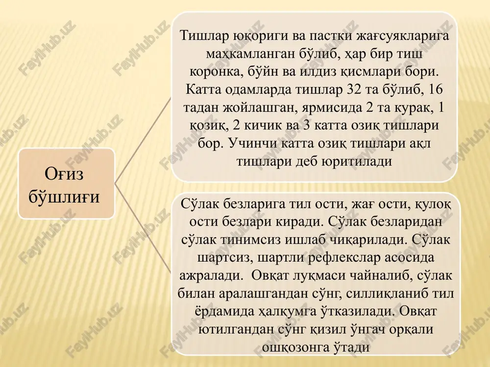 ida parchalanib, suvda erigan holga kelgandan so'ng ichak devorlaridan qon tomirlari va limfaga so'riladi. oshqozonda suv, alkogol, ba'zi oziqa moddalari, qisman uglevodlar so'rila boshlaydi. ichak so'rgichlarining qisqarishini piyoz, chesnok va kalampir 5 marta tezlashtiradi. so'rgichlar qon tomirlariga juda boy bolalar orasida oshqozon - ichak kasalliklari 1 yoshgacha -40%, 5 yoshgacha - 30% va 5 yoshdan yuqorilarda 15-20% tashkil etadi. noto'g'ri ovqatlanish, ovqatlanish gigienasining buzilishi, issiq sharoit, og'riq, jigar etishmasligi bolalarda ovqat hazm qilish organlarining yomon ishlashiga olib keladi hazm kanalining harakatlari odam ovqatlangandan 15 minutdan so'ng ichak muskullari qiskarib, uch xil peristaltik, segmentli, mayatniksimon harakatlana boshlaydi. ichak harakatlanganda ovqat massasi qorishadi, to'g'ri ichak tomonga harakatlanadi, ichakning reflektor yo'lidan kisqarishi ichak devorini ximik va mexanik ta'sirlanishi tufayli vujudga keladi. ovqat butkasi bolalarda ingichka ichakda jami 12-13 soat atrofida o'tadi. moddalar almashinuvi № modda nomi xususiyatlari 1 oqsil 1g. 4,1 kkal. en.h., qurilish,energiya. sutkalik ovqat tarkibining 80-90% 2 uglevod 1g. 4,2 kkal. …