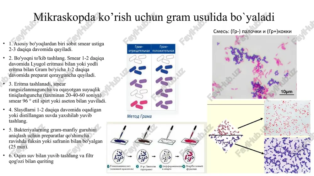 ga muhtoj, chunki ular fermentatsiya qila olmaydi yoki anaerobik nafas ololmaydi. biroq, ular kislorodning yuqori konsentratsiyasi bilan zaharlangan. ular naychaning yuqori qismida to'planadi, lekin eng yuqori qismida emas. havoga chidamli organizmlar kislorodga ehtiyoj sezmaydilar, chunki ular energiyani anaerob usulida almashtiradi. ammo, majburiy anaeroblardan farqli o'laroq, ular kislorod bilan zaharlanmaydi. ular kolba bo'ylab bir tekis taqsimlangan holda topilishi mumkin. 28 maxsus selektiv ozuqalar kampilobakagar campylobacter uchun selektiv vosita, qo'y yoki ot qoni va antibiotiklar bilan qonli agar asosidan iborat. antimikrobiyal komponentlar normal mikrofloraning o'sishini sezilarli darajada inhibe qiladi, campylobacter homila ssp o'sishi va chiqarilishini rag'batlantiradi. jejuni. qo'shimchada amfoterisin b ning mavjudligi zamburug'larning o'sishini sezilarli darajada yoki to'liq inhibe qiladi, keyinchalik kiritilgan sefalotin normal ichak mikroflorasini bostirishni kuchaytiradi. campylobacter homila koloniyalari ssp. jejuni shilimshiq, tekis kulrang, tartibsiz konturli yoki baland, dumaloq, gemolizsiz. ba'zi shtammlar sariq-jigarrang yoki pushti rangdagi koloniyalarni hosil qilishi mumkin. muhitning nam yuzasida o'sish yoki to'planishning birlashishi kuzatilishi mumkin. 29 …
