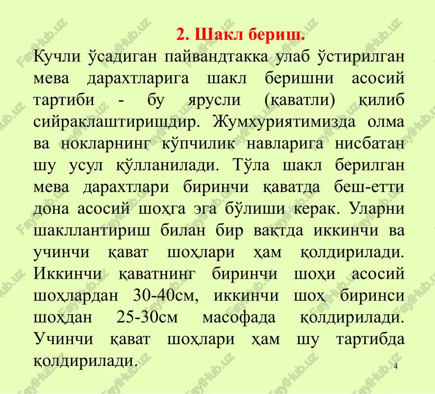 meva daraxtlariga shakl berish va kesish - Page 4
