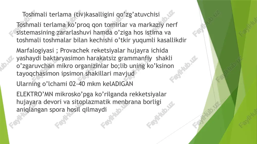 menkevichkining qan tomir reyaksiyasidan foydalanish mumkun davolash va oldini olish toshmali terlamani kompleks va qatiy indvidal tarzda olib boriladi kampleks davolash kasallikning sababiga qarshi etiatrop patagenetik va boshqa belgilariga qarshi chora tadbirlarini o’z ichiga oladi bunda tetrasiklin qatoriga kiruvchi antibiotiklar qatoruga kituvchi dorilardan fiydalinadi patagenetik davolashda esa intoksinatsiyaga qarshi yurak qon tomirlar va nerv sistemasi favolyatini tiklashga qaratilgab bo’ladi endemik kalamushli toshmali terlama qo’zg’tivchisi endemik toshmali terlama muzer rekketsiyalari qo’zg’atadi sichqon va kalamushlar orqali yuqadi o’tkir sporadik kasallik bo’lib siklik ketishi va terida toshmalar paydo qilishi bilan harakterlanadi marfalagik bialagik irsiy antigenlik va immunalagik hususiyatlari bilan provachek rekersiyalariga o’xshaydi ammo shakli kam o’zgaruvchan muzer rekketsiyasi ramanoviskiy gilza bilan bo’yalganda ular qizil rangli tayoqchalarni yoki ko’ksimon tayoqchalarni ko’rish mumkun muzer reketsiyalari hujayra devori yog’lar palisaharidlar oqsillar nukleyin kislatalar vitaminlardan tashqari yashil suv o’tlari va bakteriyalarga hos bo’lgan muran kislatalari borligi aniqlangan bu rekkersiyalar uchun hujayradan ajratadigan zararli subustansiya borligi va gemolitik …