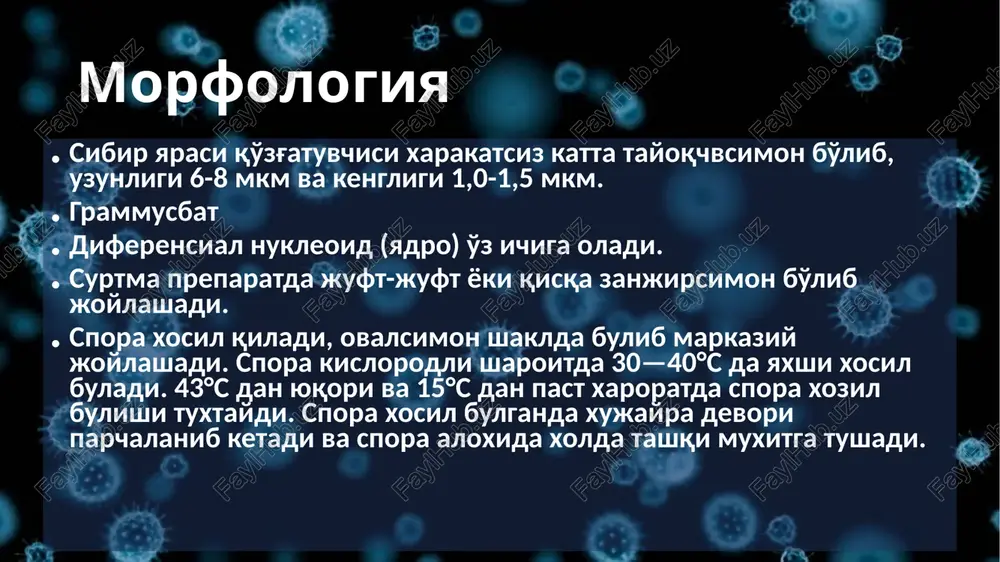 sibir yarasi - Page 4
