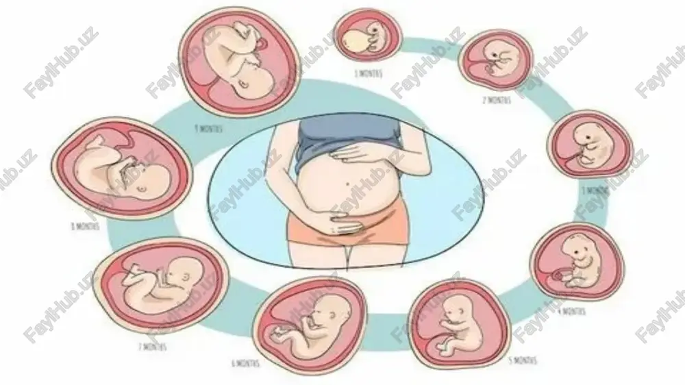 perinatal davrning oʻziga xos xususiyatlari - Page 4