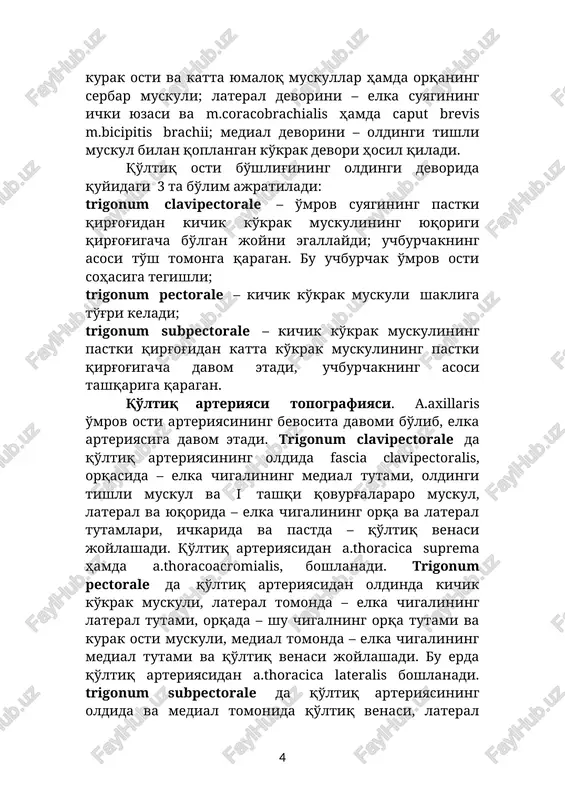l va yuqorida – elka chigalining orqa va lateral tutamlari, ichkarida va pastda – qo'ltiq venasi joylashadi. qo'ltiq arteriyasidan a.thoracica suprema hamda a.thoracoacromialis, boshlanadi. trigonum pectorale da qo'ltiq arteriyasidan oldinda kichik ko'krak muskuli, lateral tomonda – elka chigalining lateral tutami, orqada – shu chigalning orqa tutami va kurak osti muskuli, medial tomonda – elka chigalining medial tutami va qo'ltiq venasi joylashadi. bu erda qo'ltiq arteriyasidan a.thoracica lateralis boshlanadi. trigonum subpectorale da qo'ltiq arteriyasining oldida va medial tomonida qo'ltiq venasi, lateral tomonida n.musculocutaneus, tumshuqsimon-elka muskuli va elka ikki boshli muskulining kalta boshchasi; oldida n.medianus, medial tomonida elka va bilakning medial teri nervlari va n.ulnaris; orqasida bilak va qo'ltiq nervlari yotadi. bu erda a.axillaris dan a.subscapularis va aa.cirumflexa humeri anterior et posterior boshlanadi. a.cirumflexa humeri posterior qo'ltiq osti nervi bilan birga to'rt tomonli teshik orqali deltasimon muskul osti bo'shlig'iga kiradi. a.subscapularis 2 ta shoxga bo'linadi: 1) a.circumflexa scapulae, 3 tomonli teshik orqali …