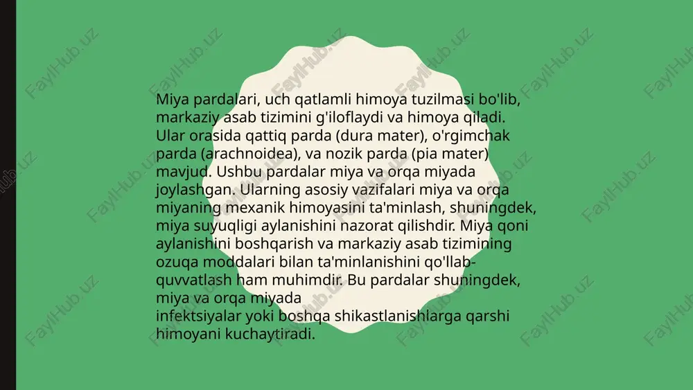 boshmiyavaorqamiyaninganatomiyasi - Page 4