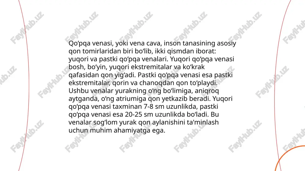 qopqa venasi, uning hosil bolishi - Page 4